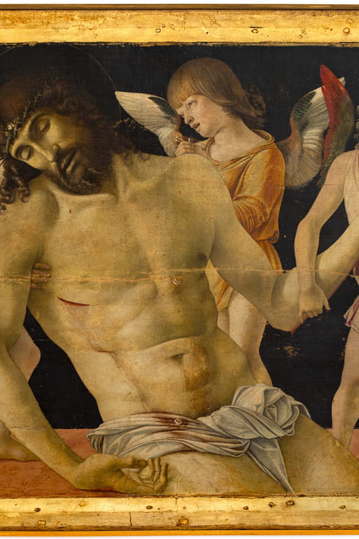 Rimini Art Card: Fellini Museum,Surgeon's house,City Museums - Price and Logistics: Is it Worth It?