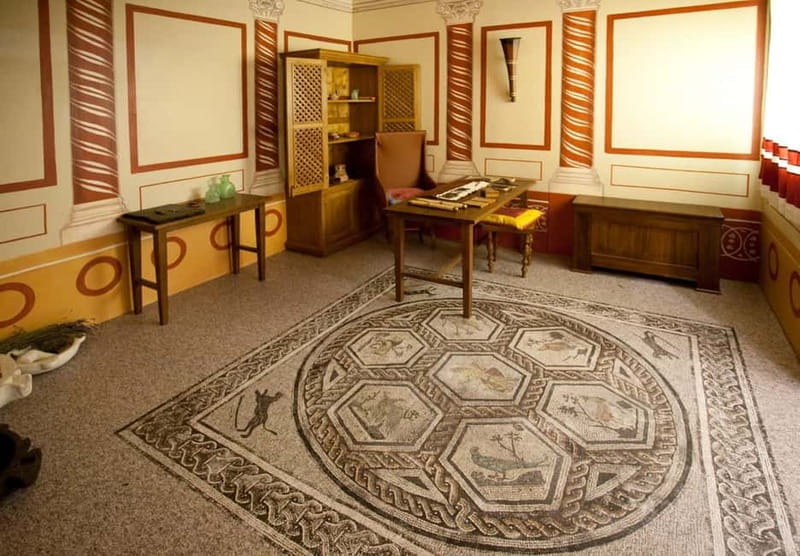 Rimini: Domus del Chirurgo and City Museum Entry Ticket - Key Points / Takeaways