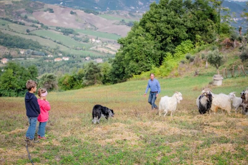 Rimini: San Leo Cashmere Farm Experience - Final Thoughts: Is the San Leo Cashmere Farm Experience Worth It?