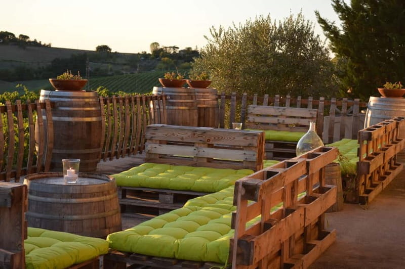 Rimini: San Valentino DOC Wine Tastings - Key Points / Takeaways