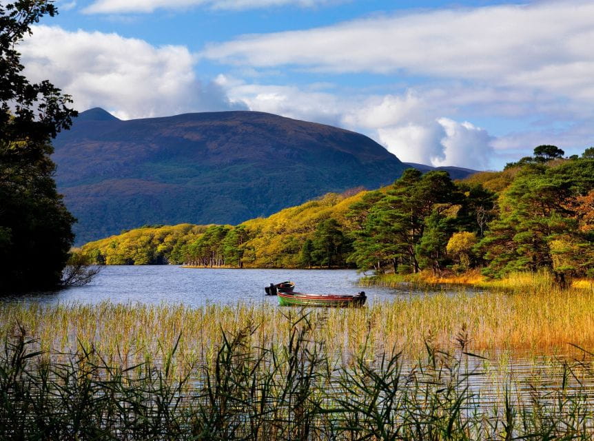 Ring of Kerry Full-Day Tour From Limerick - Customer Ratings