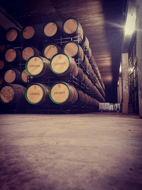 Rioja Day Tour: Explore Three Wineries with Tastings - Key Points / Takeaways