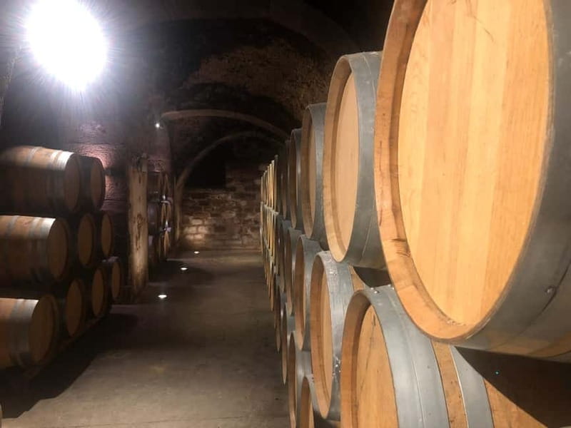 Rioja Day Tour: Explore Three Wineries with Tastings - What Makes This Tour Stand Out?