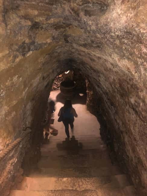 Rioja Day Tour: Explore Three Wineries with Tastings - Who Will Love This Tour?