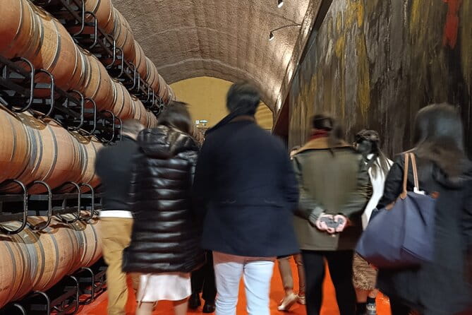 Rioja Day Tour: Explore Three Wineries with Tastings - A detailed look at the Rioja Day Tour: what to expect and why it’s worth it