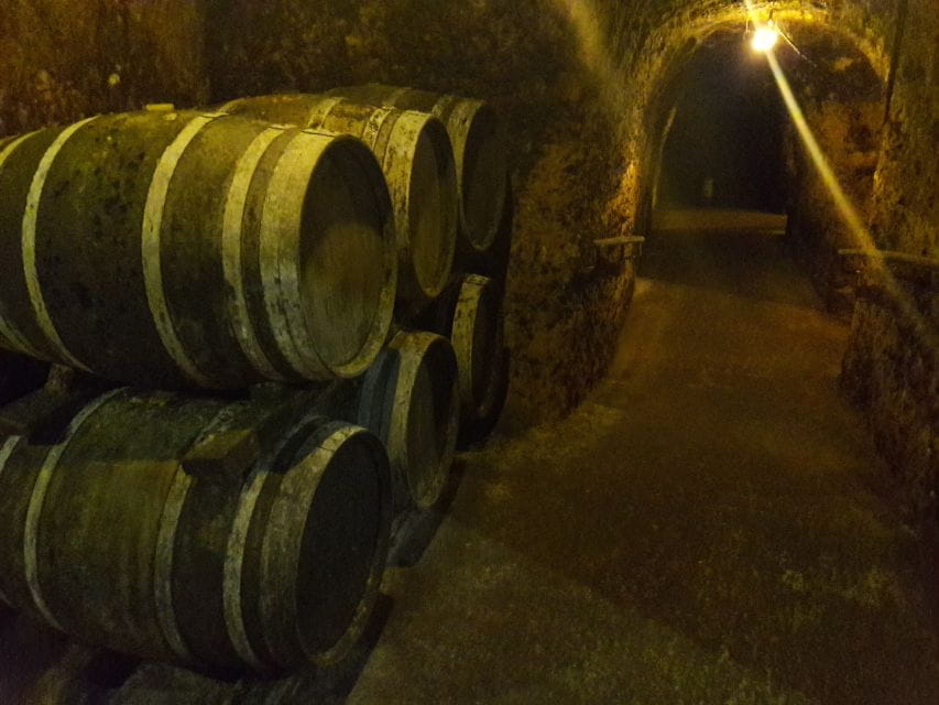 Rioja: Private Wine Tasting Tour - Local Cuisine Indulgence