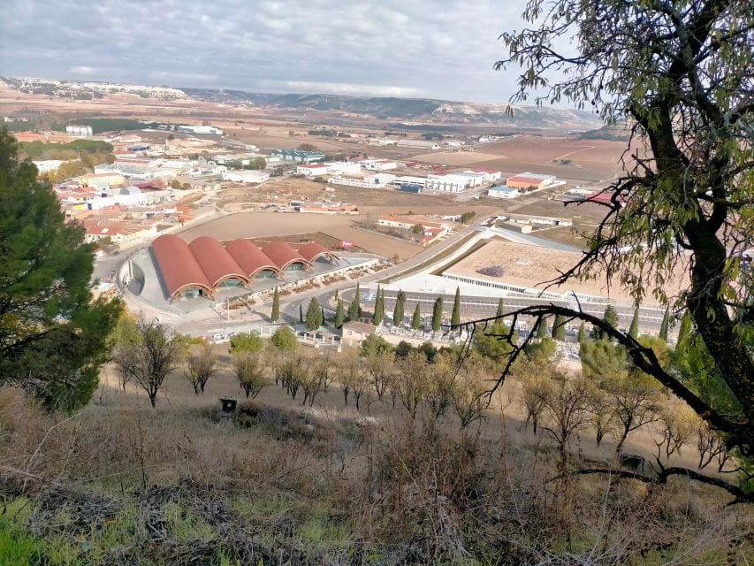 Rioja: Tour of 3 Wineries in English - Guided Experiences