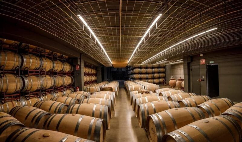 Rioja: Wine tasting and sampling at the Martínez Alesanco family winery - The Sum Up: Worth a Spot in Your Rioja Itinerary