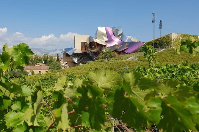 Rioja Wine Tour: 2 Wineries From Pamplona - A Taste of Rioja from Pamplona — A Detailed Review