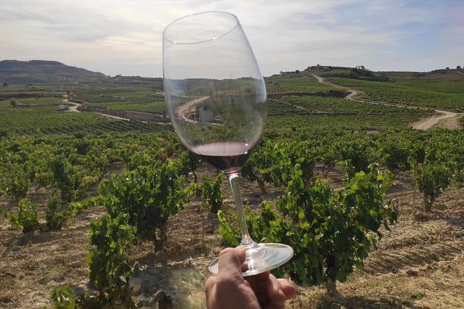 Rioja Wine Tour: 2 Wineries From Pamplona - The Sum Up: Is This Tour Right for You?