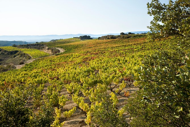 Rioja Wine Tour: 2 Wineries Visit With Tasting From San Sebastian - Cancellation Policy and Restrictions
