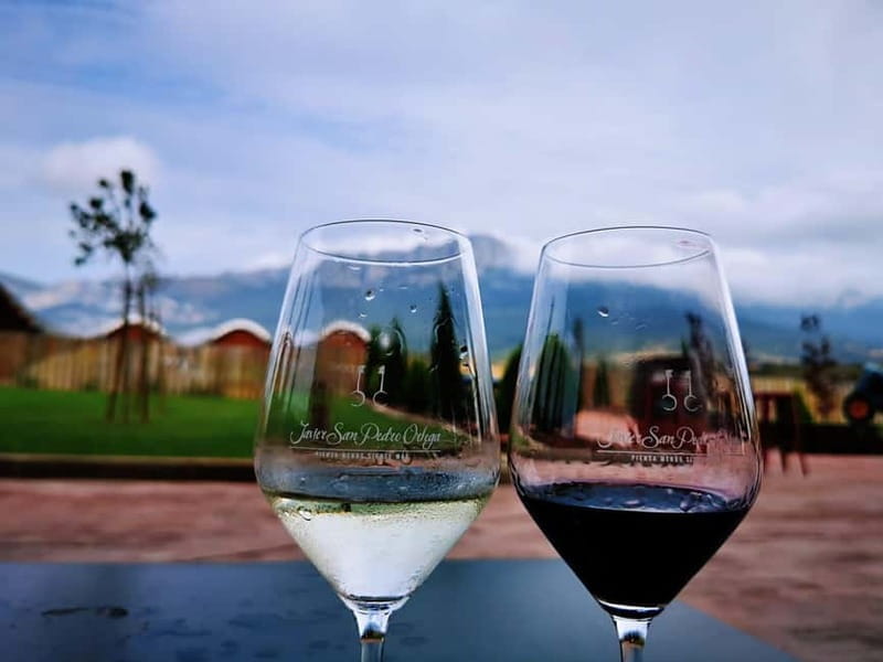 Rioja: Wine Tour with a Local Expert with Tastings - Key Points / Takeaways