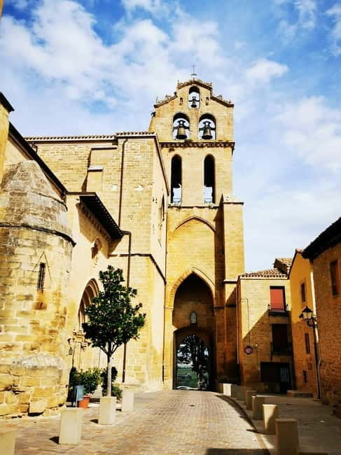 Rioja: Wine Tour with a Local Expert with Tastings - A Deep Dive into the Rioja Wine Tour from Laguardia