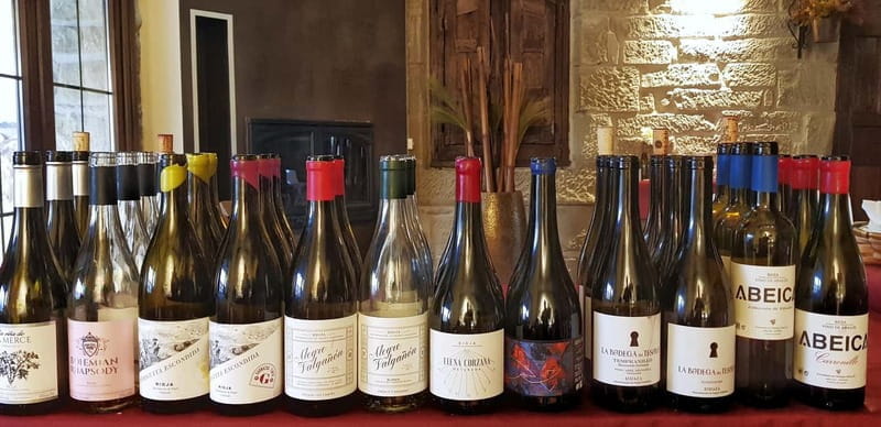 RIOJA: WINE TOUR WITH A WINERY OWNER - Entering Rioja’s Authentic World of Wine