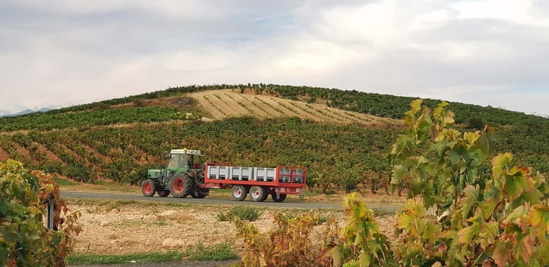 RIOJA: WINE TOUR WITH A WINERY OWNER - Scenic Drive and Vineyard Views