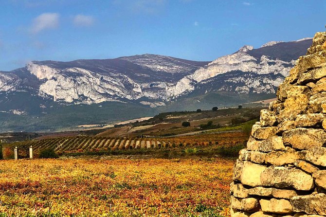 Rioja Wineries and Laguardia Tour With Picnic From San Sebastian - Additional Details