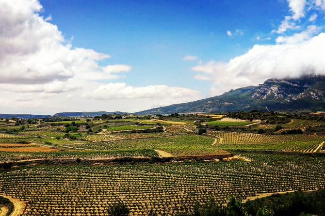 Rioja's Top wines tasting private tour - Entering the World of Rioja: An In-Depth Look