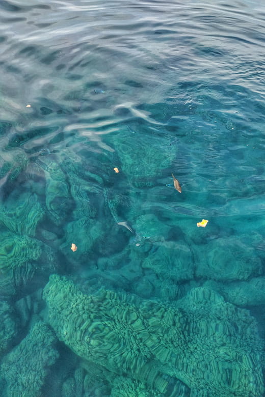 Riomaggiore: Cinque Terre Daytime Cruise with Snorkeling - Riomaggiore: Cinque Terre Daytime Cruise with Snorkeling — A Detailed Look