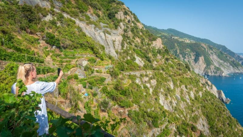 Riomaggiore: Vineyard & Wine Cellar Tour with Wine Tasting - Entering Riomaggiore’s Vineyards: A Visual Feast