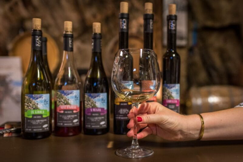 Riomaggiore: Vineyard & Wine Cellar Tour with Wine Tasting - Tasting and Learning: Why It Matters