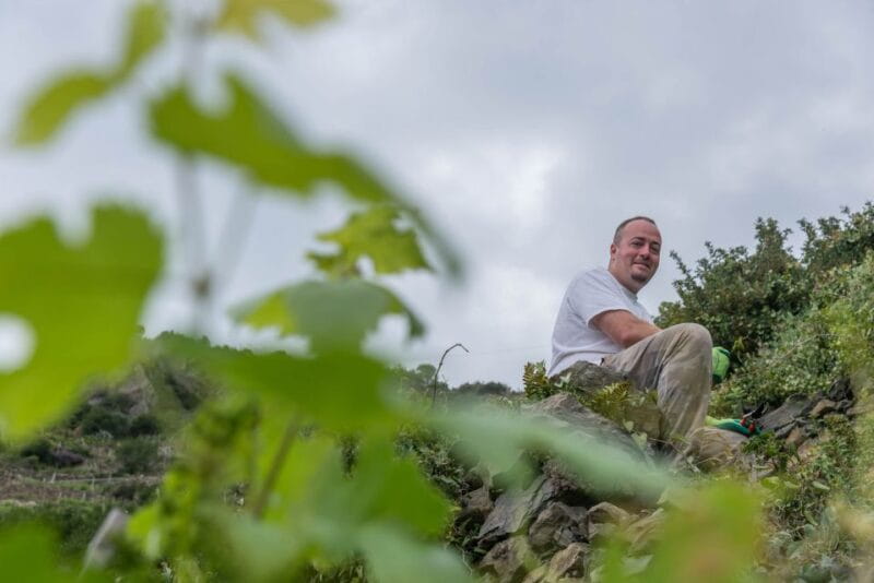 Riomaggiore: Vineyard & Wine Cellar Tour with Wine Tasting - Logistics and Practical Tips