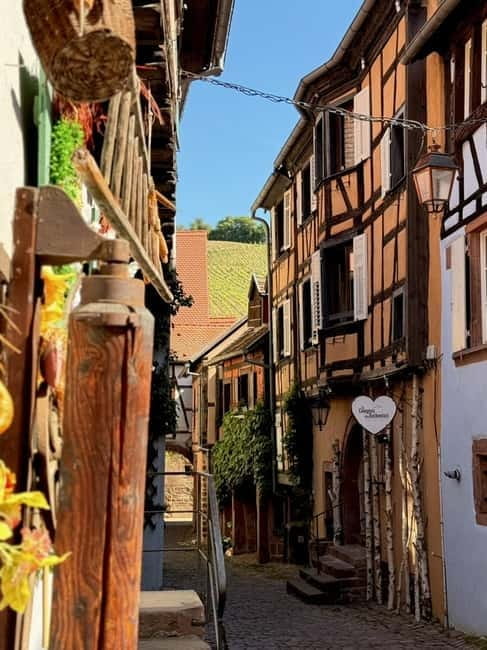 Riquewihr: the pearl of the vineyards with a local guide and tastings - What to Expect from the Tour