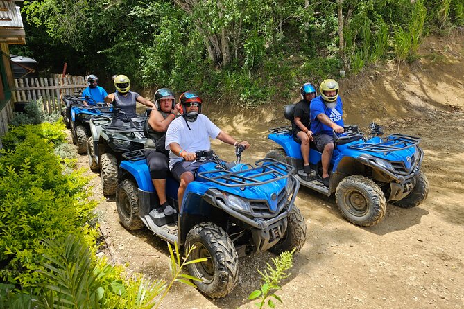 Riu Palace Aquarelle Montego Bay Airport Transfer - Driver Expertise and Recommendations