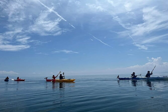 River to Sea Mutsu Bay Kayak Experience - Location and Operator