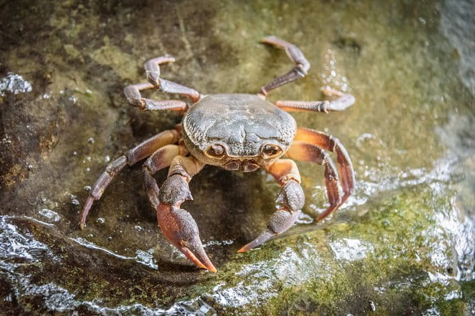 River Trekking in Neda - Who Might Want to Think Twice?