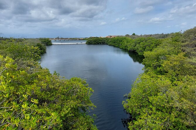 Road to San Nicolas Culture Heritage by Electric Bike Aruba - Meeting and End Points