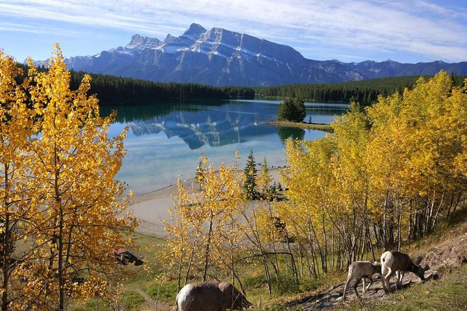 Rockies 4 Day Tour From Calgary Visit Icefield Jasper and Yoho NP - Discover Yoho National Park