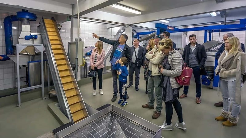 Roga: Solta Island Wine, Honey, and Olive Oil Tasting Tour - Why This Tour Offers Great Value for Food & Culture Enthusiasts