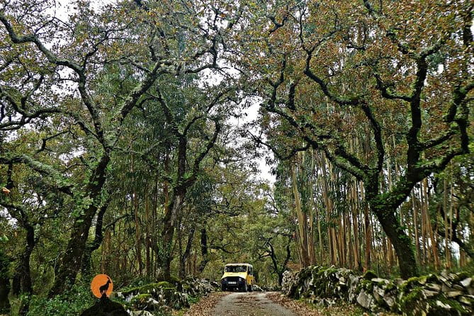 Roman Ruins of Conímbriga, Penela Castle and Buracas do Casmilo - FAQs