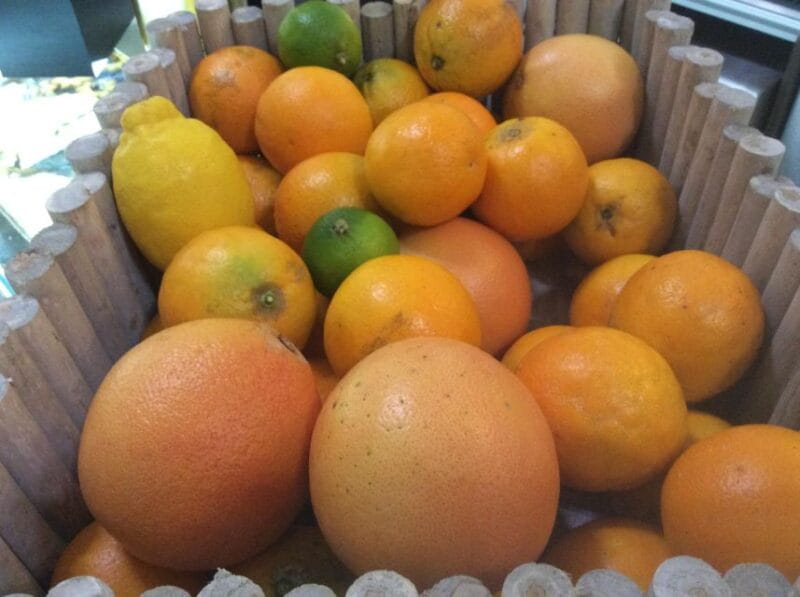 Roman Vegetarian Food Tour - Discovering Rome’s Vegetarian Flavors: An Honest Review of the Roman Vegetarian Food Tour