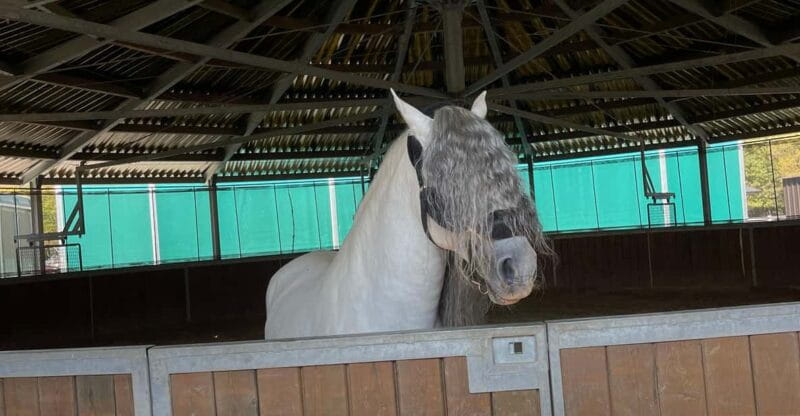 Romanian Wine Tasting Tour & Appetizers with Sommelier - Price and Value Considerations