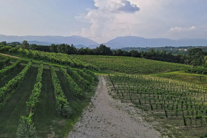 Romantic Evening Tasting with the Best Prosecco - Final Thoughts: Is It Worth It?