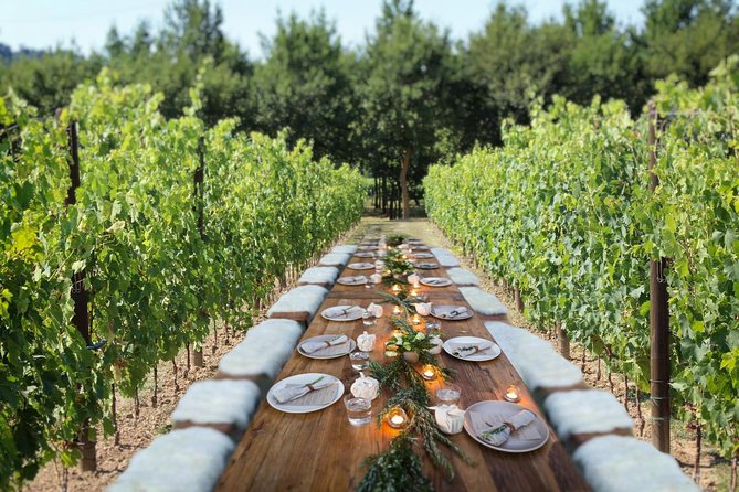 Romantic Lunch in the Vine Rows in Tuscany - Included Activities and Amenities