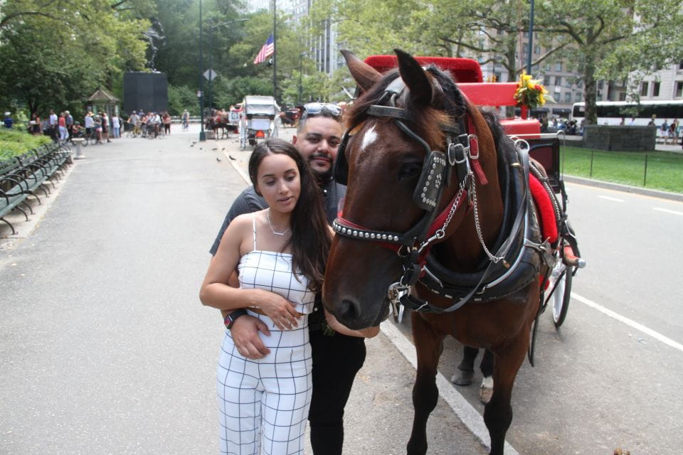 Romantic/Proposal Central Park Carriage Tour Up to 4 Adults - Key Points