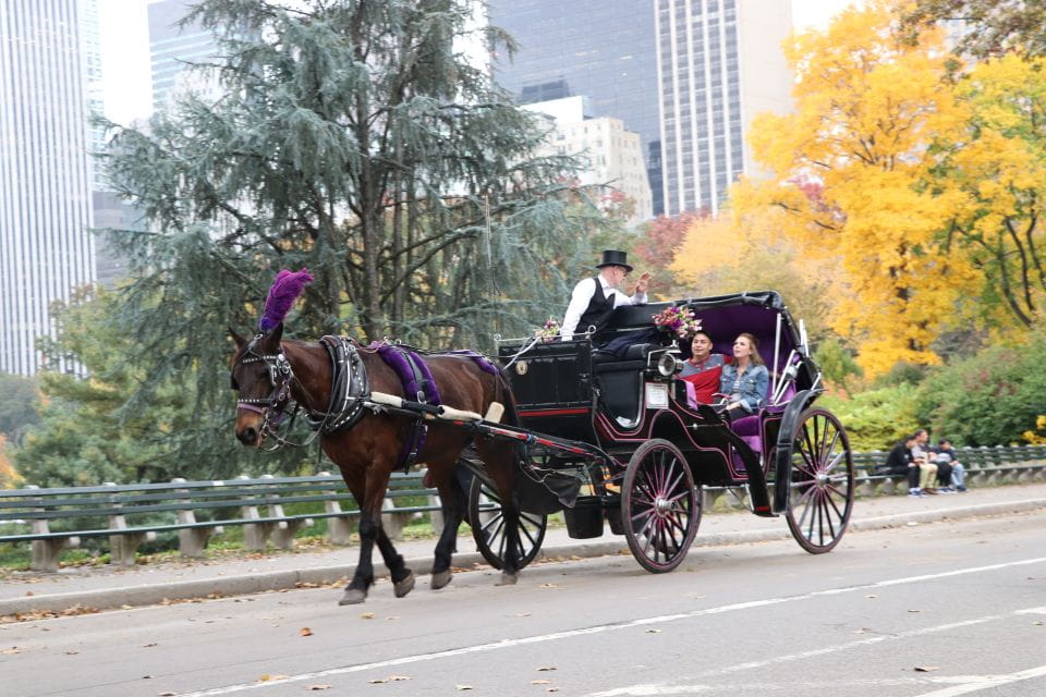 Romantic/Proposal Central Park Carriage Tour Up to 4 Adults - Frequently Asked Questions