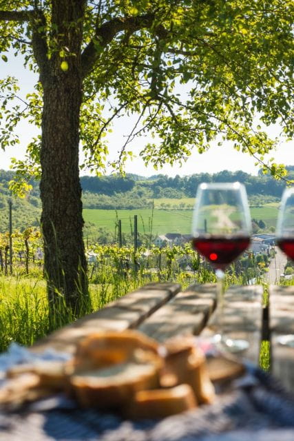 Romantic Road Ticket Würzburg - Rothenburg With Wine Tasting - Itinerary