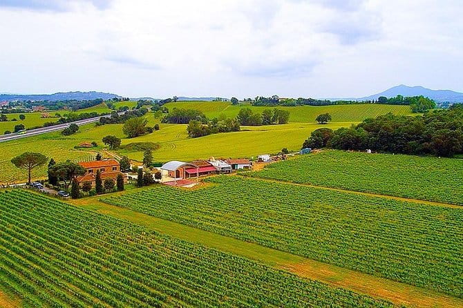 Romantic Vespa Tour and Wine Tasting - The Joy of Driving or Riding as a Passenger