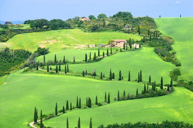 Romantic Vespa Tour and Wine Tasting - Lunch and Wine Tasting at Podere Casanova