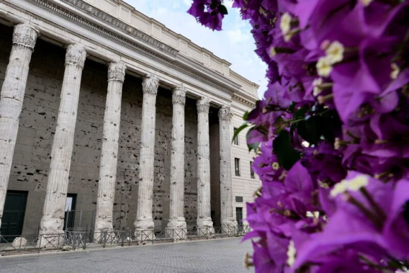 Rome: 3-Hour Highlights and Underground Guided Walking Tour - Who Will Love This Tour?