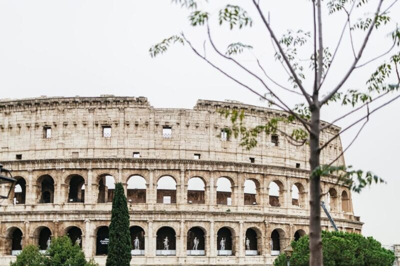 Rome: Colosseum, Palatine Hill & Roman Forum Guided Tour - Logistics and Practicalities