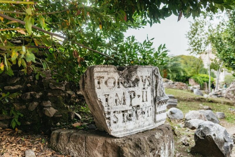 Rome: Colosseum, Palatine Hill & Roman Forum Guided Tour - Who Will Benefit Most