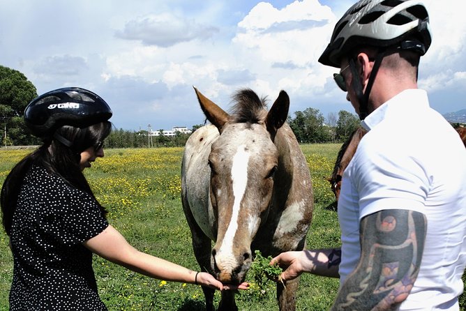 Rome EBike Tour: Appian Way, Catacombs & Roman Aqueducts - Cancellation and Policies