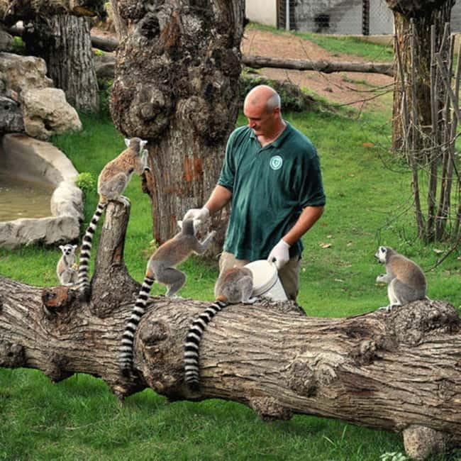 Rome: Entrance ticket to the Zoo+Tour by Golf Cart in Villa Borghese - Key Points / Takeaways