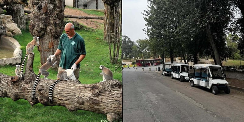 Rome: Entrance ticket to the Zoo+Tour by Golf Cart in Villa Borghese - Practical Details: How It Works