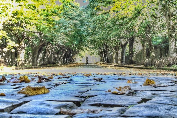 Rome: Frascati Vineyard Bike Tour with Train Tickets - Who’s This Tour Best For?