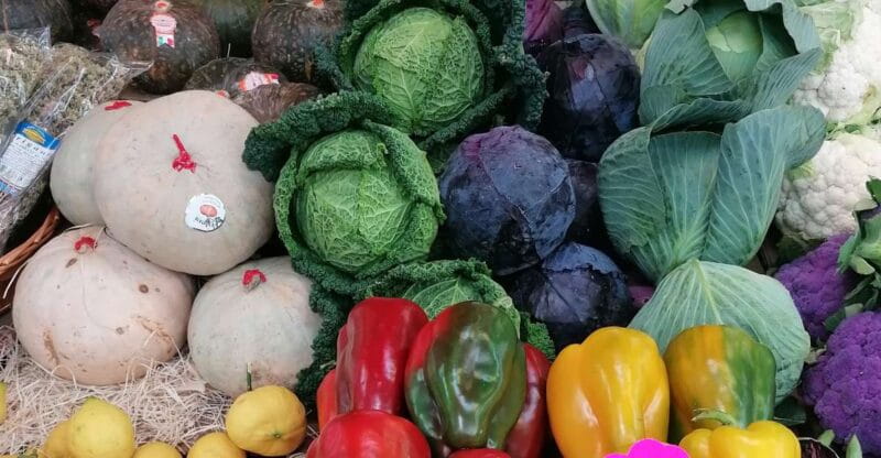 Rome: Guided Testaccio Market Food Tour with Tastings - Key Points / Takeaways